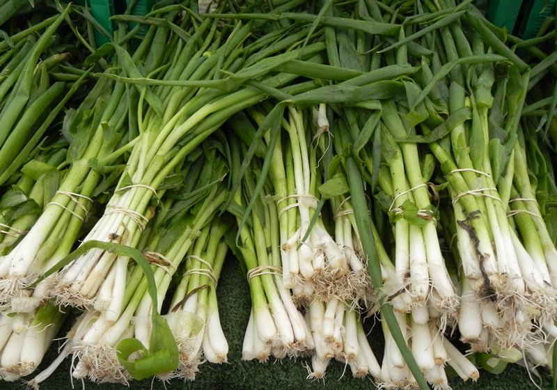 Green Onions at a Farmers Market in Chicago