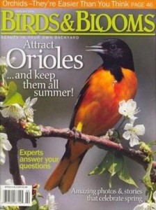 birds and bloom magazine cover with oriole