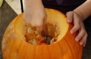 pumpkin carving