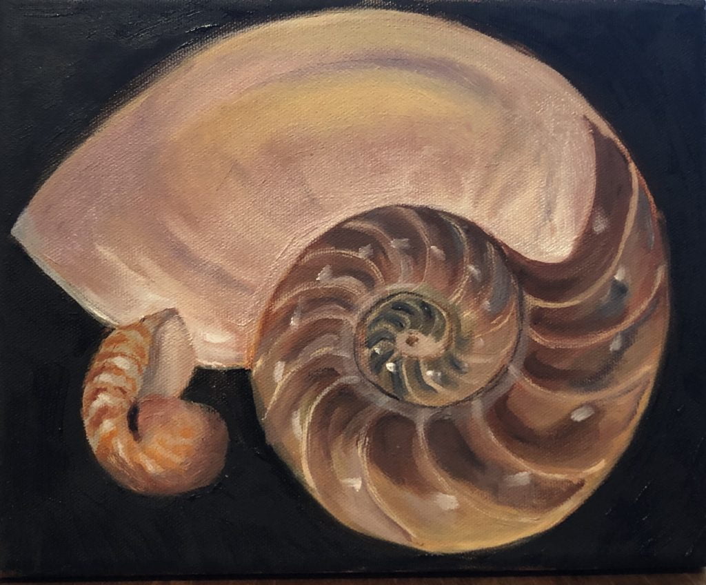 Art painting of shell
