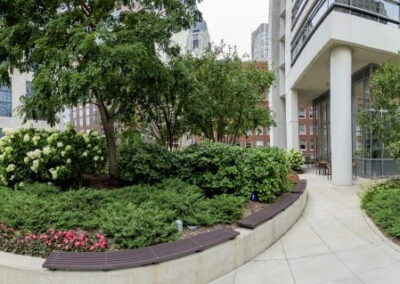 6 Ways for Baby Boomers to Explore Gardens & Gardening in Chicago