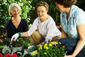 3 friends kneeling planting pansies